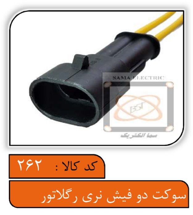 سوکت دو فیش نری رگلاتور